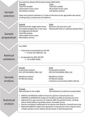 Arsenic Speciation and Metallomics Profiling of Human Toenails as a Biomarker to Assess Prostate Cancer Cases: Atlantic PATH Cohort Study